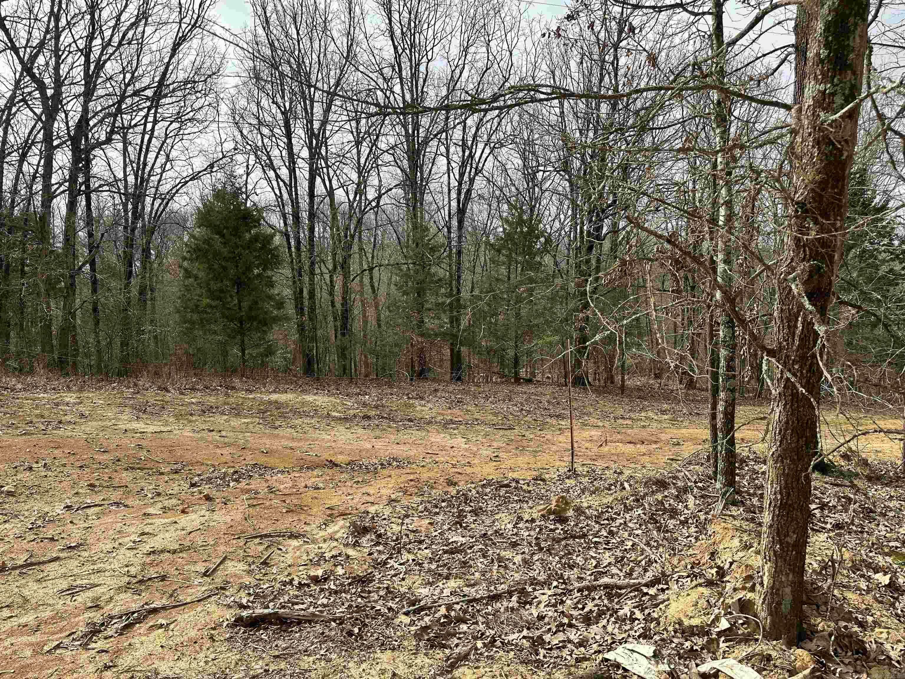 Property Photo:  Lot 1 Raby Road  AR 72432 