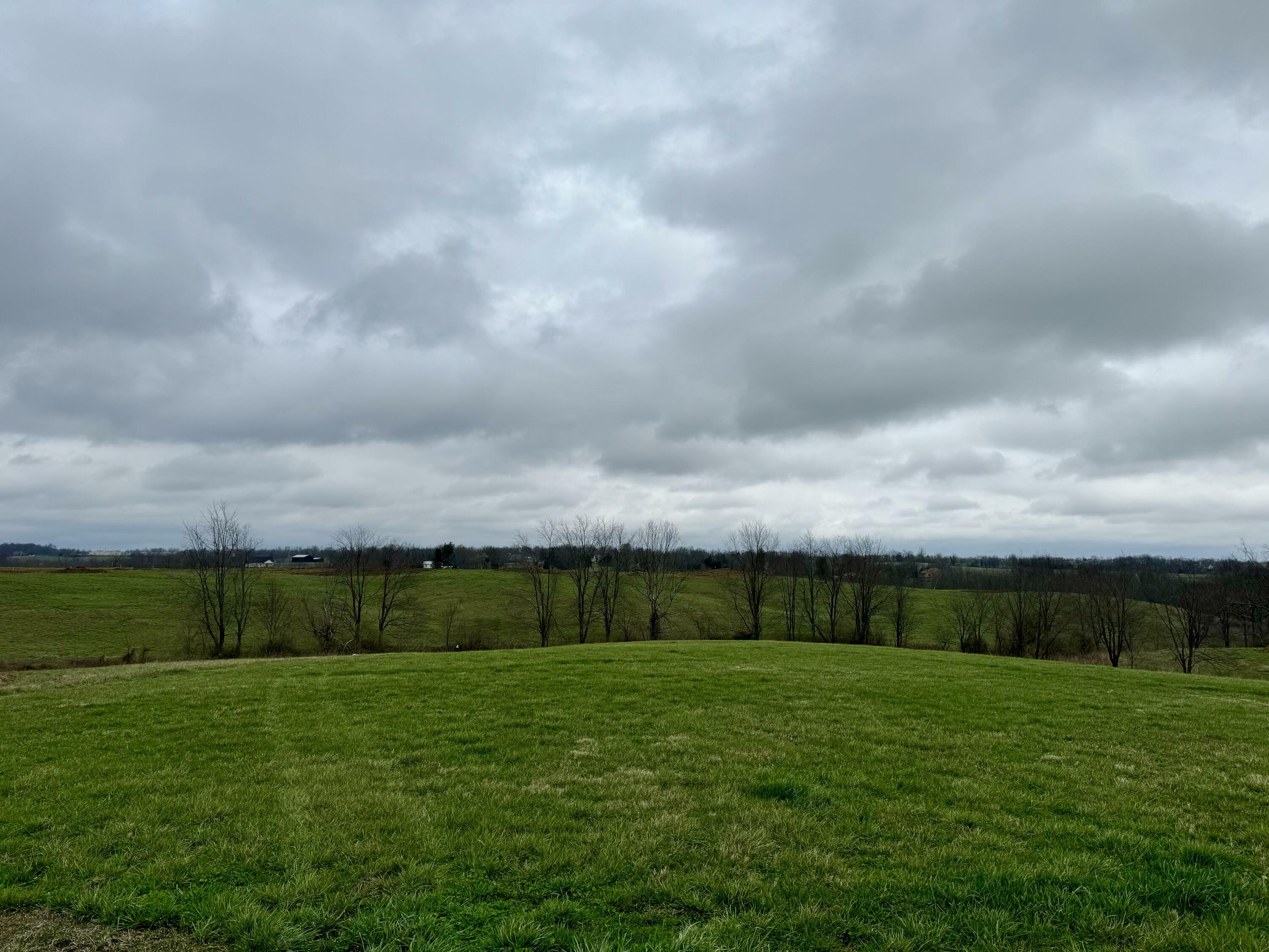 Property Photo:  232 Berkley Hall Drive  KY 40403 