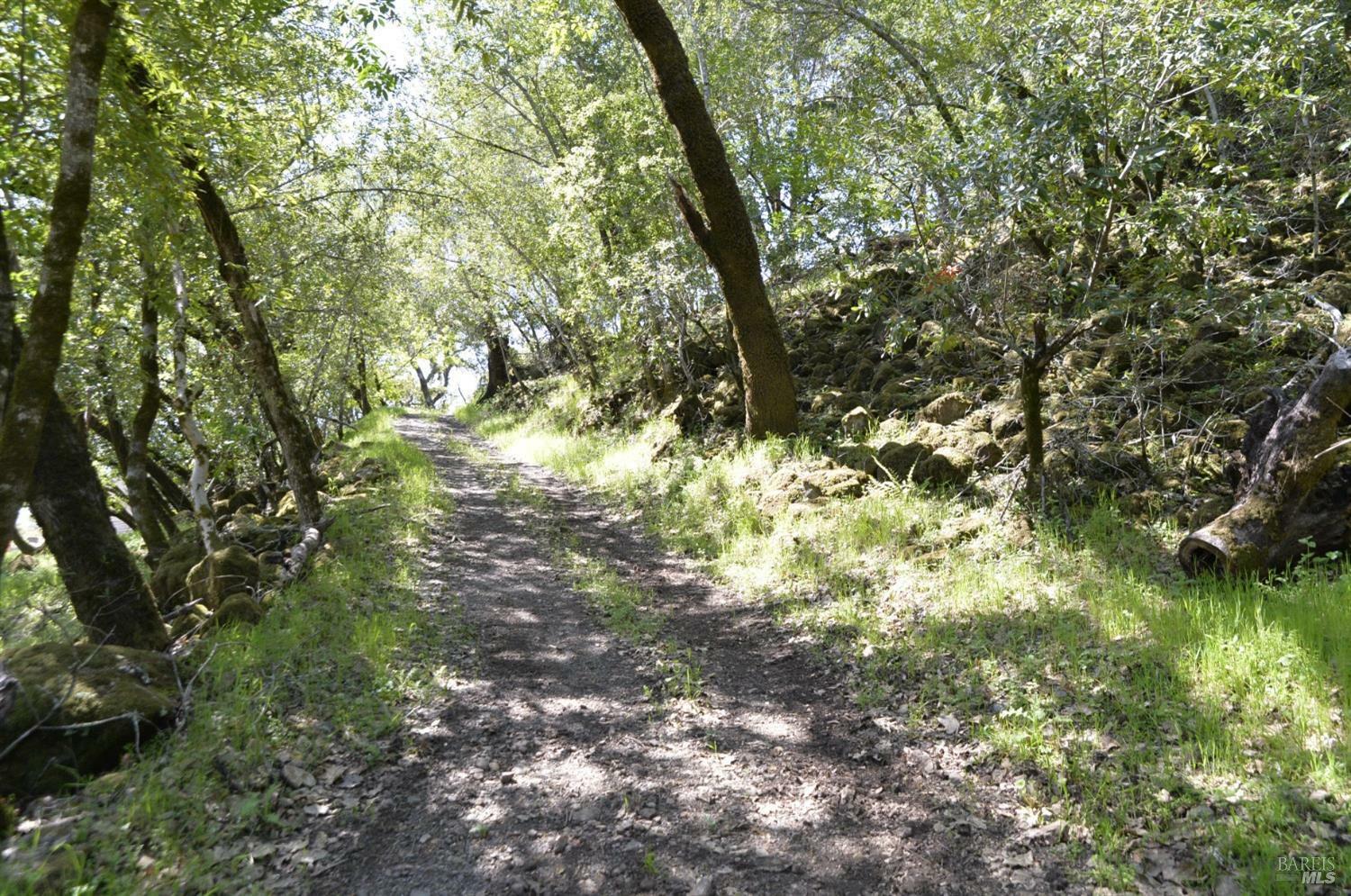 Property Photo: 279 283 Clear Ridge Drive CA 95448