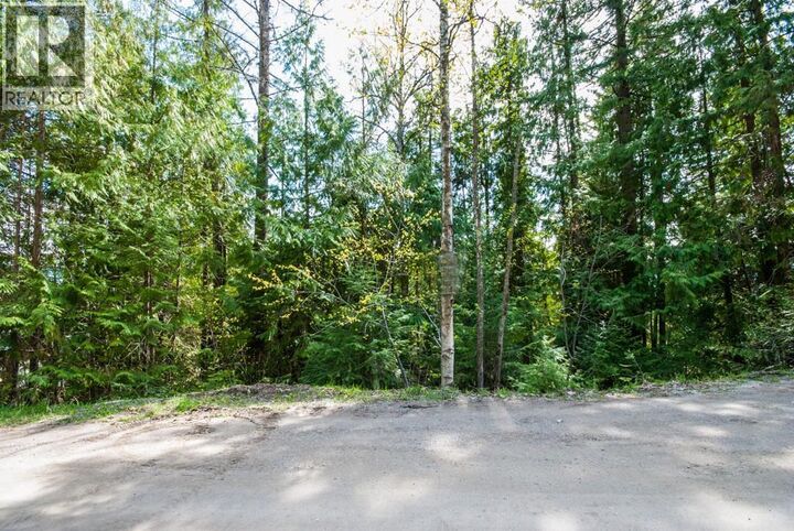 Lot 57 Lonneke Trail  Anglemont BC V0E 1M8 photo