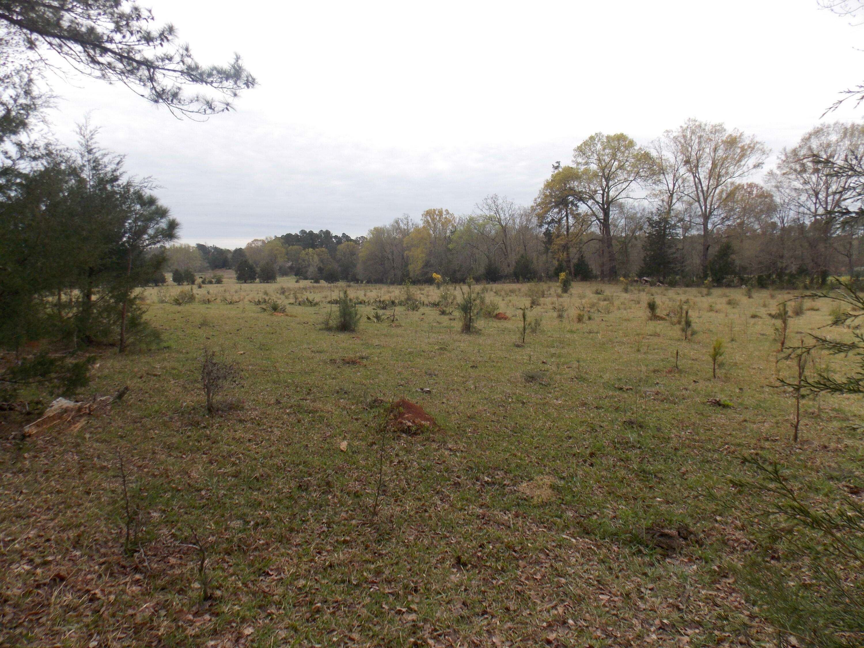 Property Photo:  378 Lincolnton Rd Road  GA 30673 