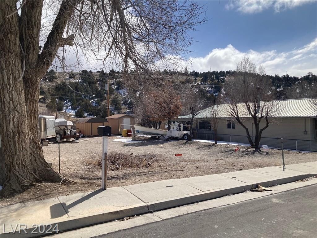 Property Photo:  1318 Mill Street  NV 89301 