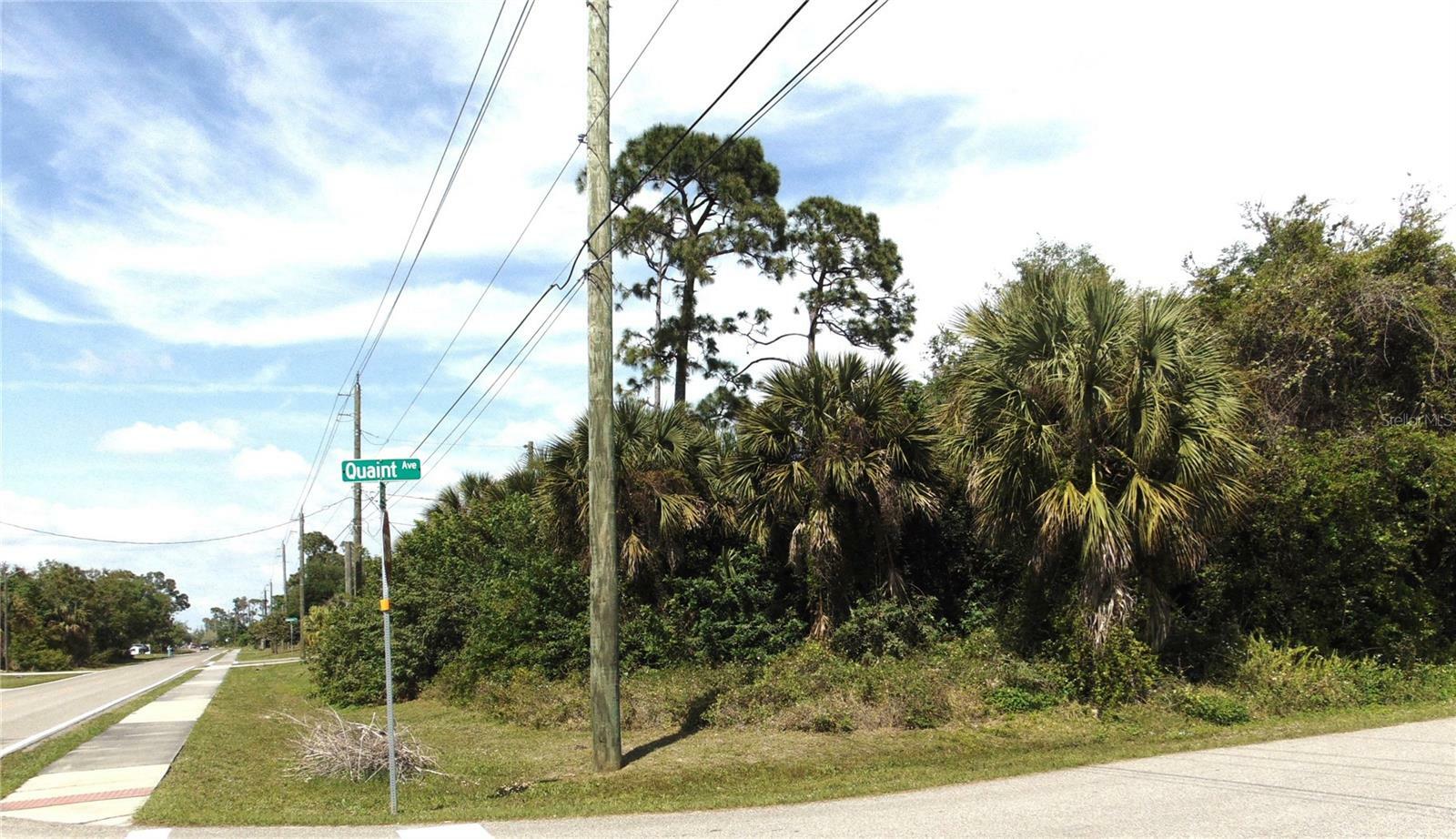 Property Photo:  18496 Quaint Avenue  FL 33948 