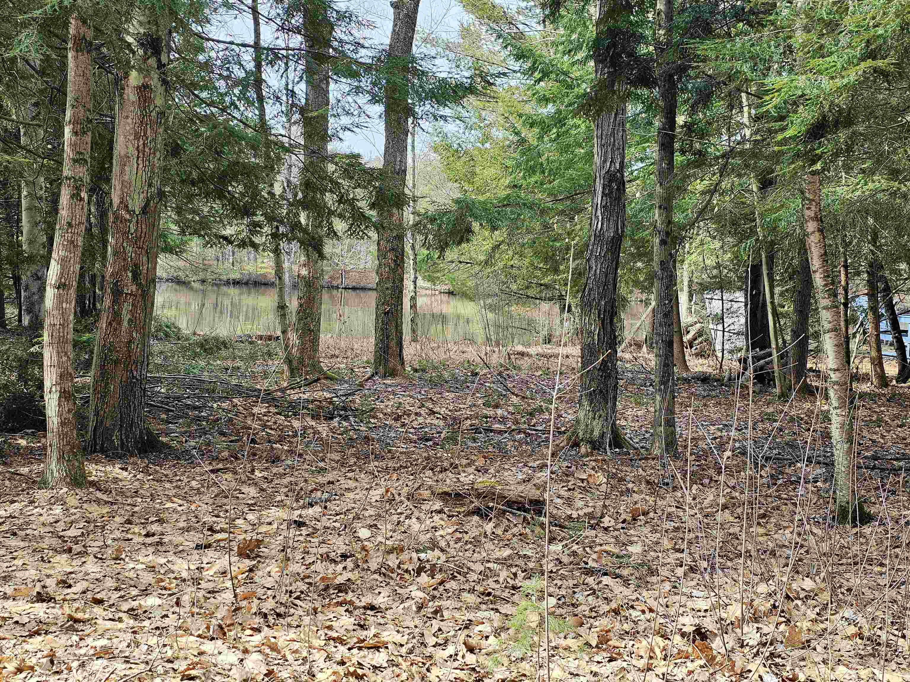 Property Photo: 0 Pemi Shore Lane NH 03235