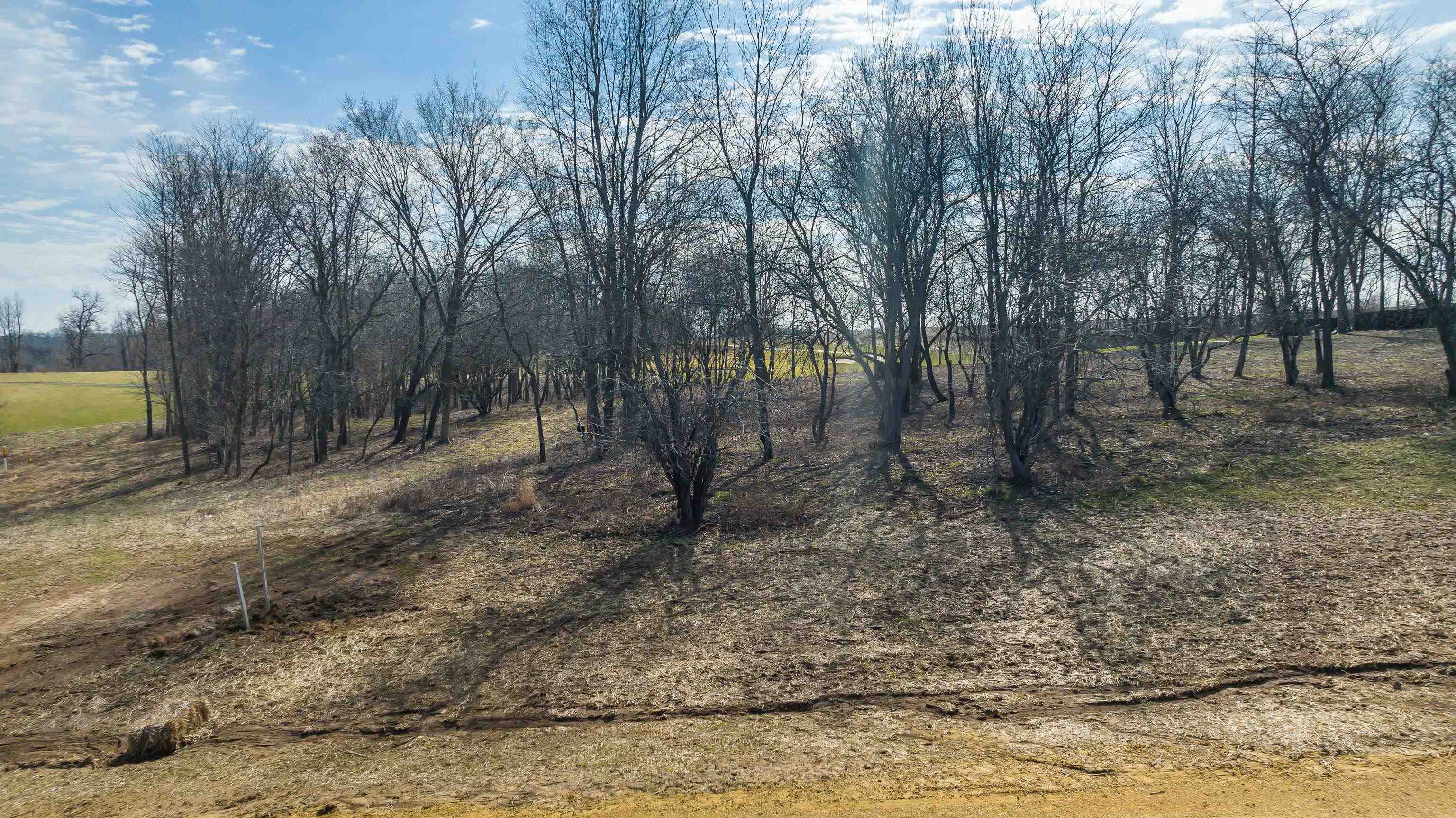 Property Photo:  Lot 4 Galena Golf View Estates Phase Ii  IL 61036 