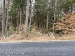 Property Photo:  Rainbow Run Lot 2  PA 18424 