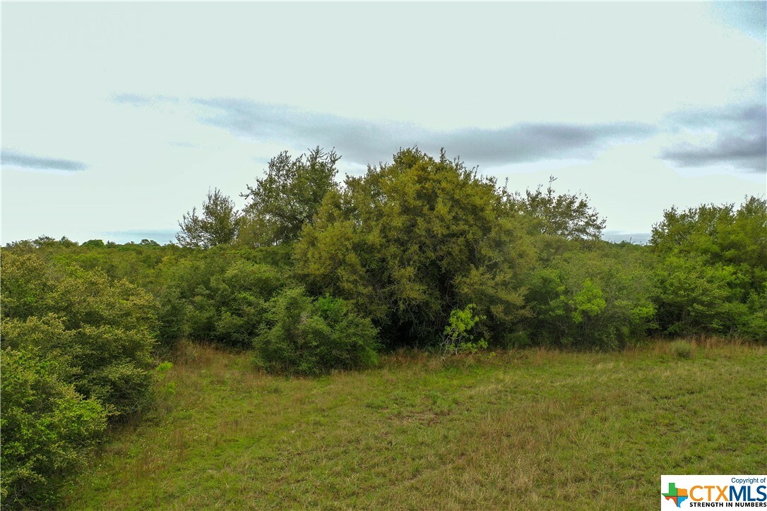 Property Photo: 460 Fm 2040 TX 77950