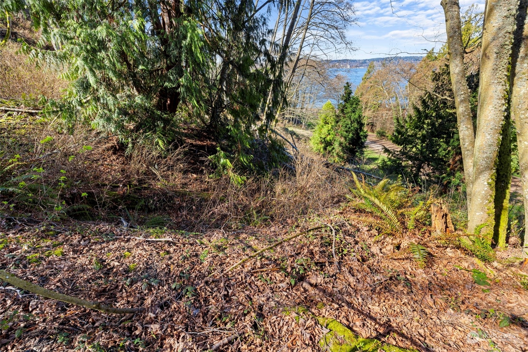 Property Photo:  0 Lot19  61st Place W  WA 98275 