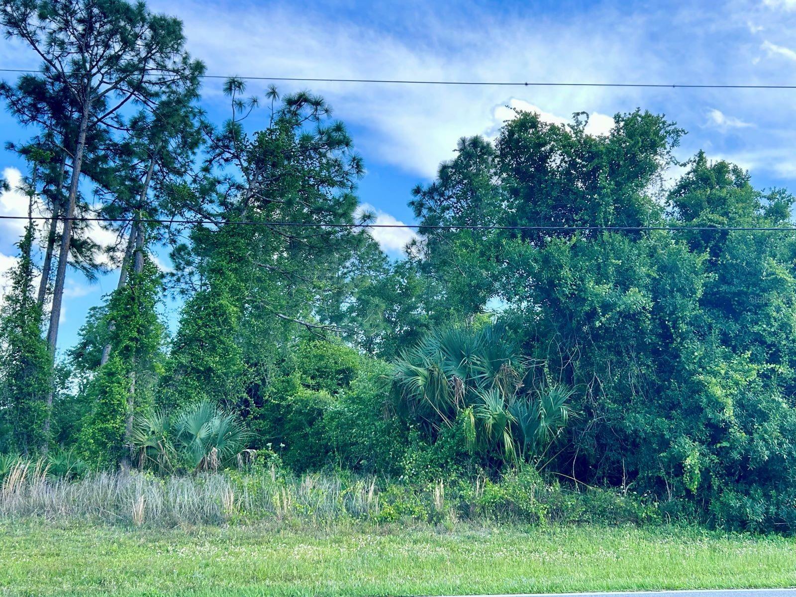 Property Photo:  Lots 9 And 10 Tropicaire Boulevard  FL 34291 