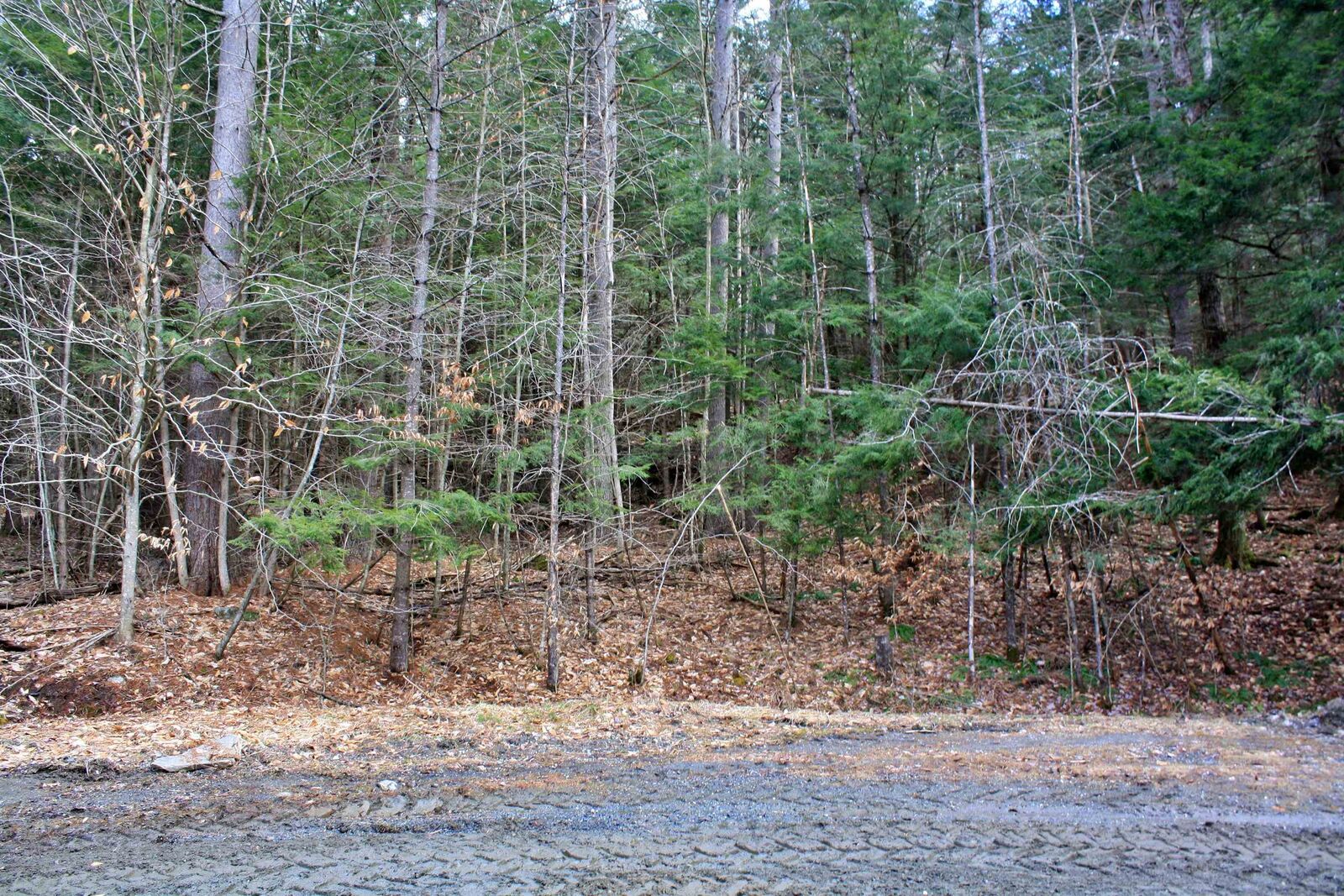 Property Photo: 00 Bayley Way VT 05059