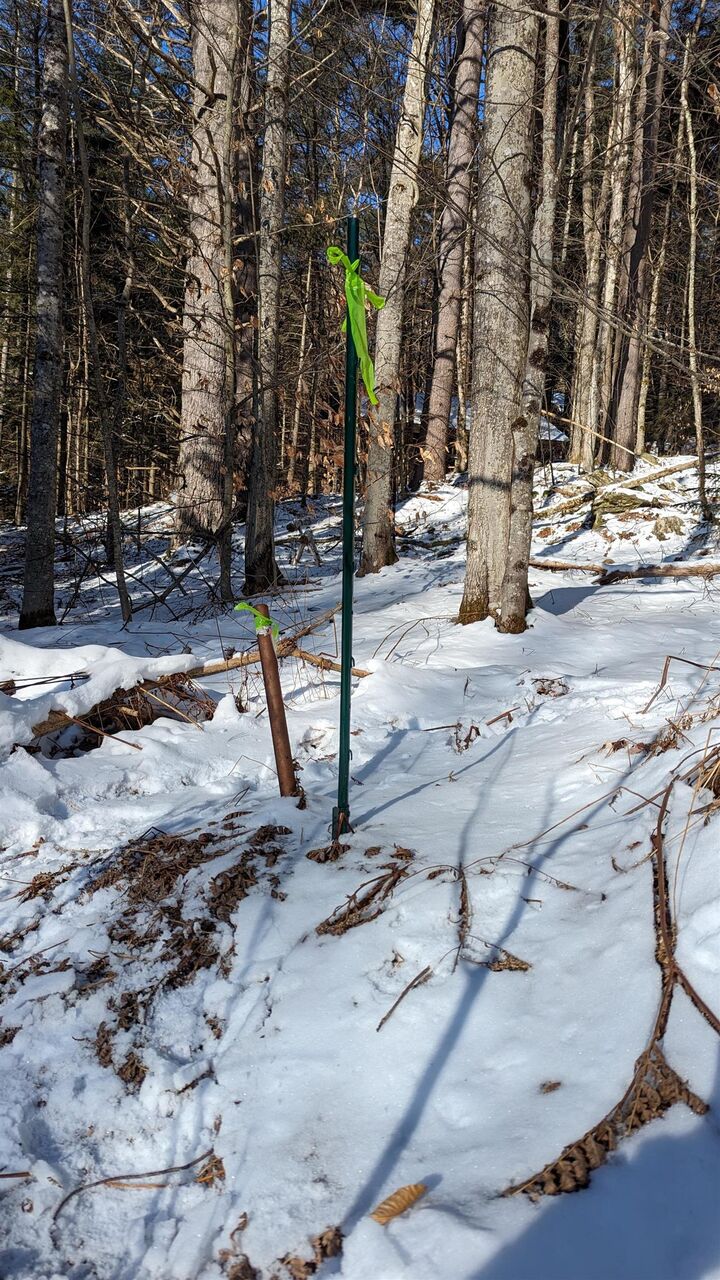 Property Photo:  100 Hawk Trail  VT 05762 