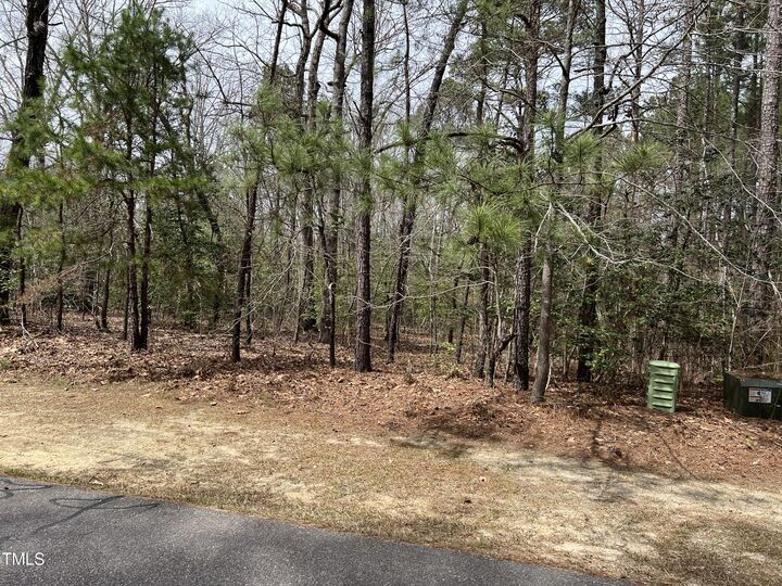 Property Photo: 707 Mimosa Drive NC 28394