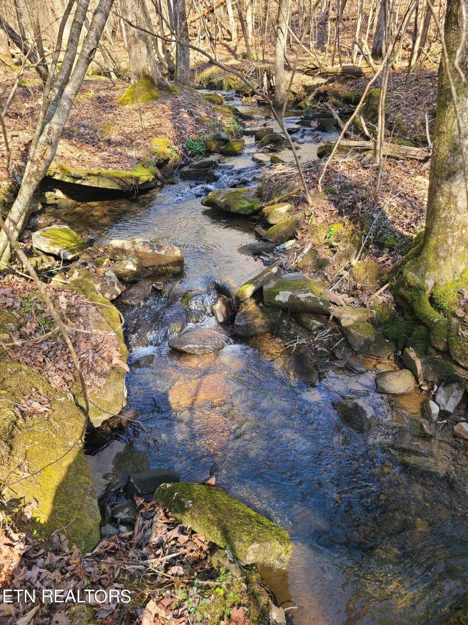 Property Photo: 616 Coon Hollow Rd TN 37872
