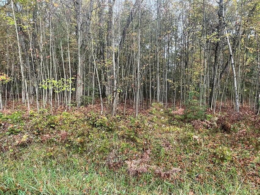 Property Photo:  Lot 29 Hidden Hills  MI 48629 