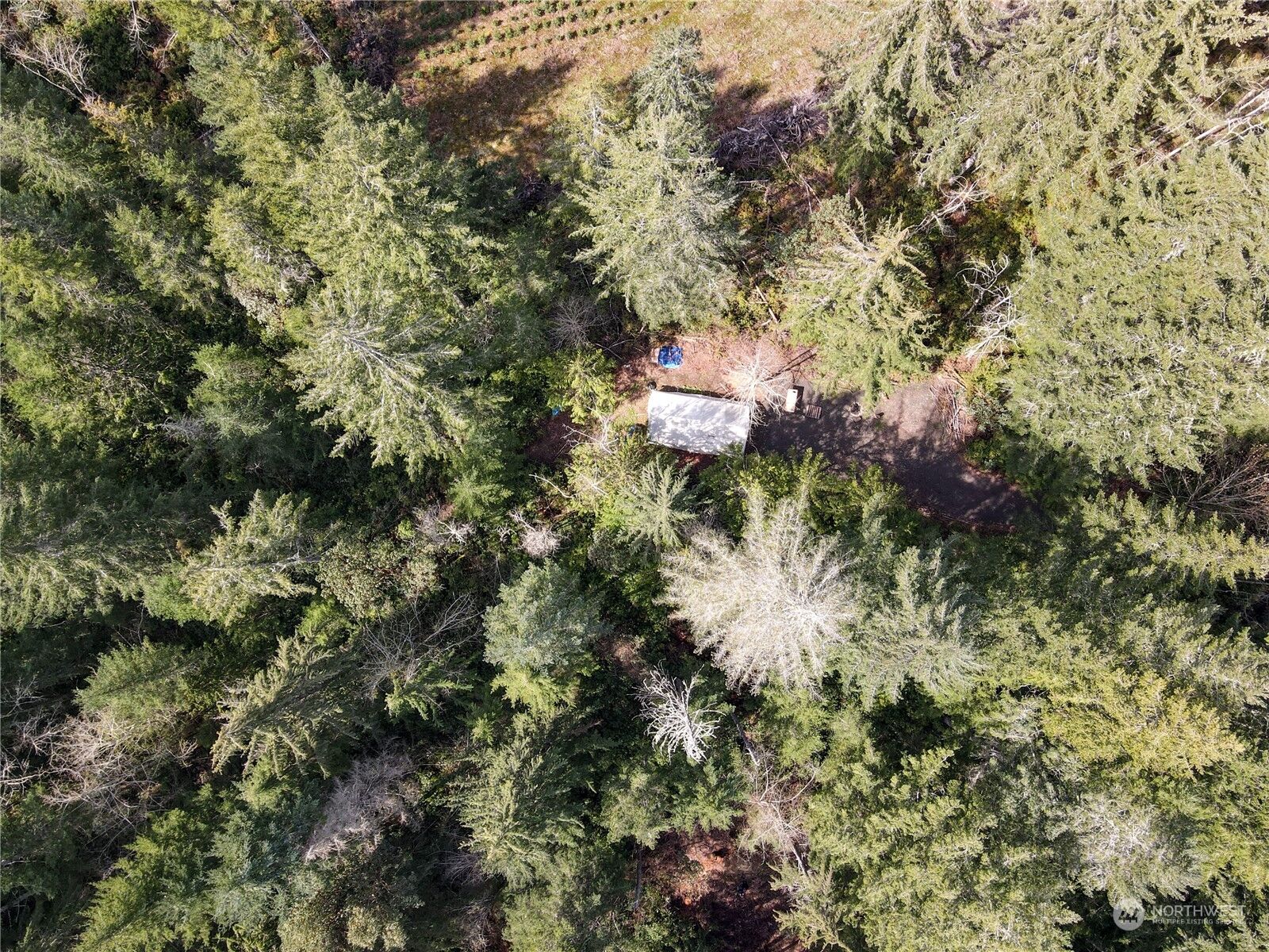 Property Photo: 0 E Andrejs Road WA 98584