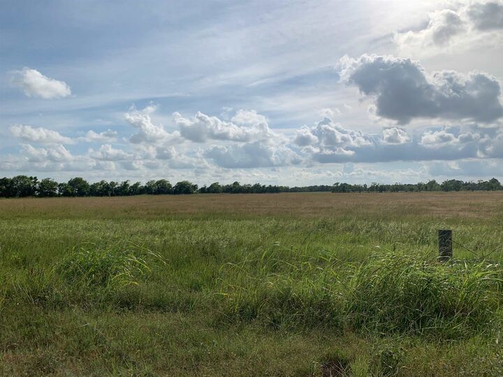 Pine Island Levey Road  Beaumont TX 77713 photo