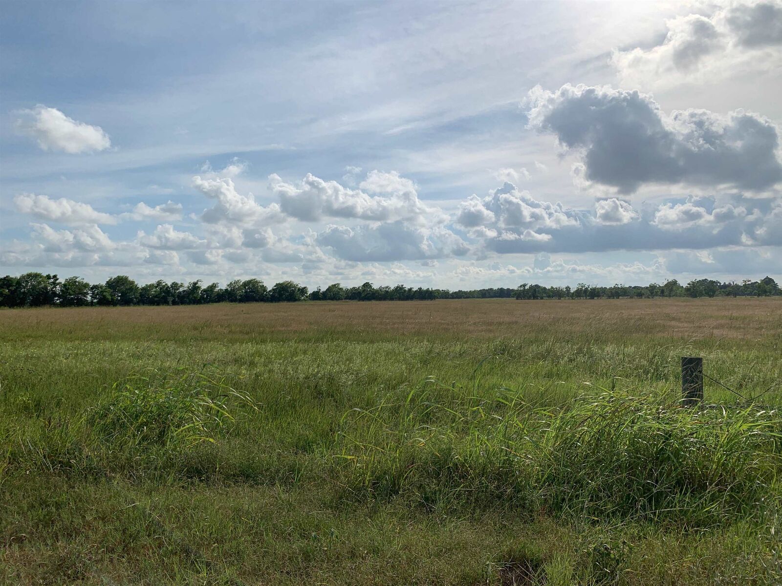 Property Photo: Pine Island Levey Road TX 77713