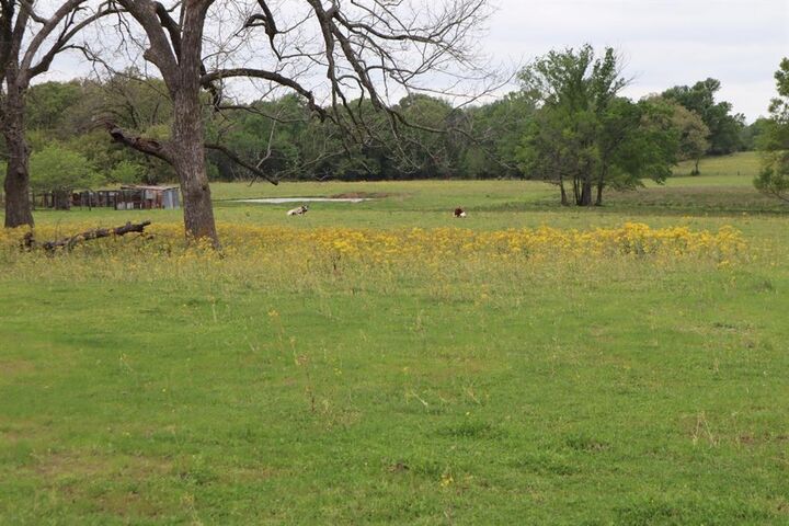 Property Photo:  Tbd Rs County Road 2365  TX 75410 
