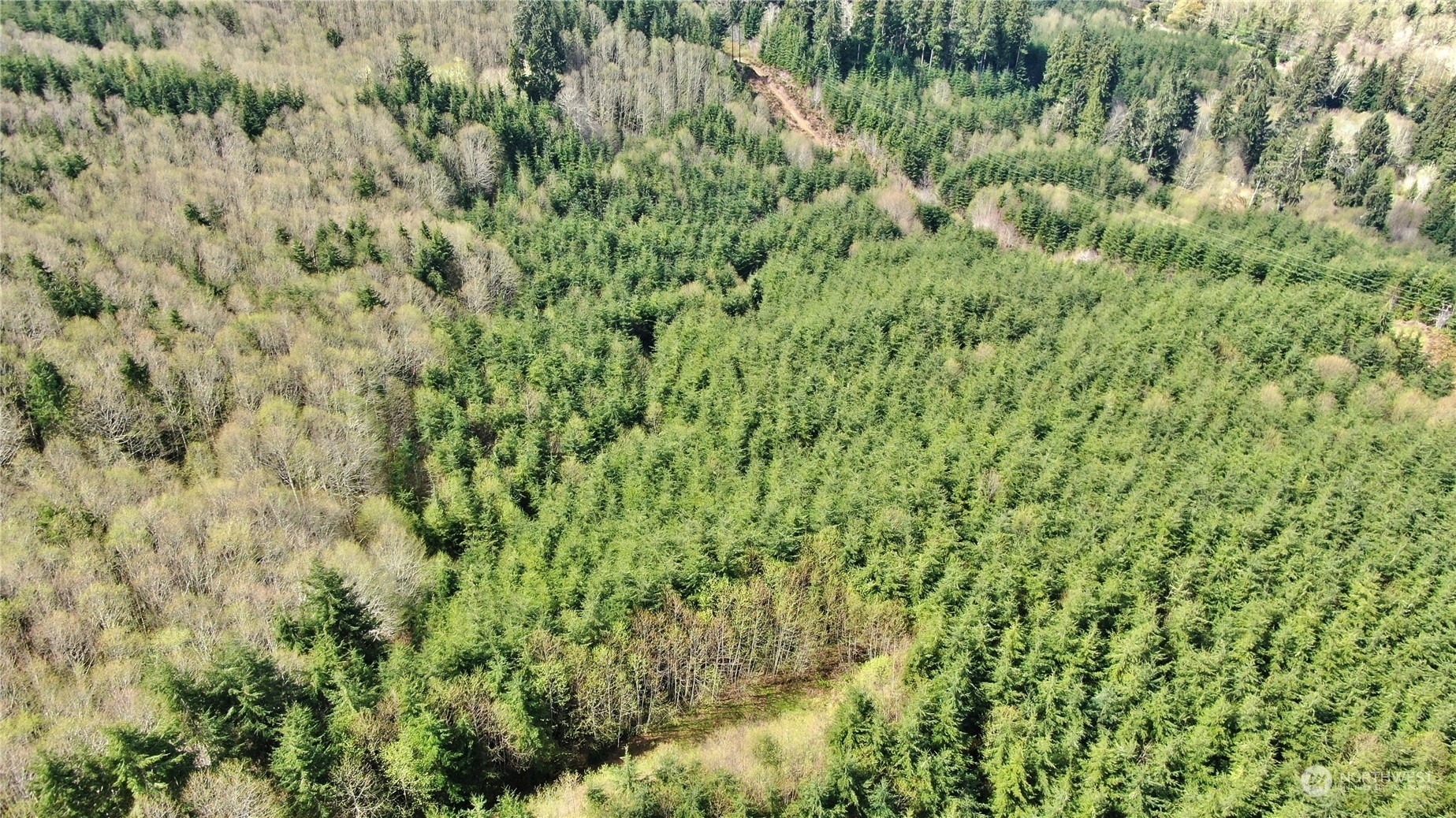 Property Photo:  0 Off Of State Route 107  WA 98563 