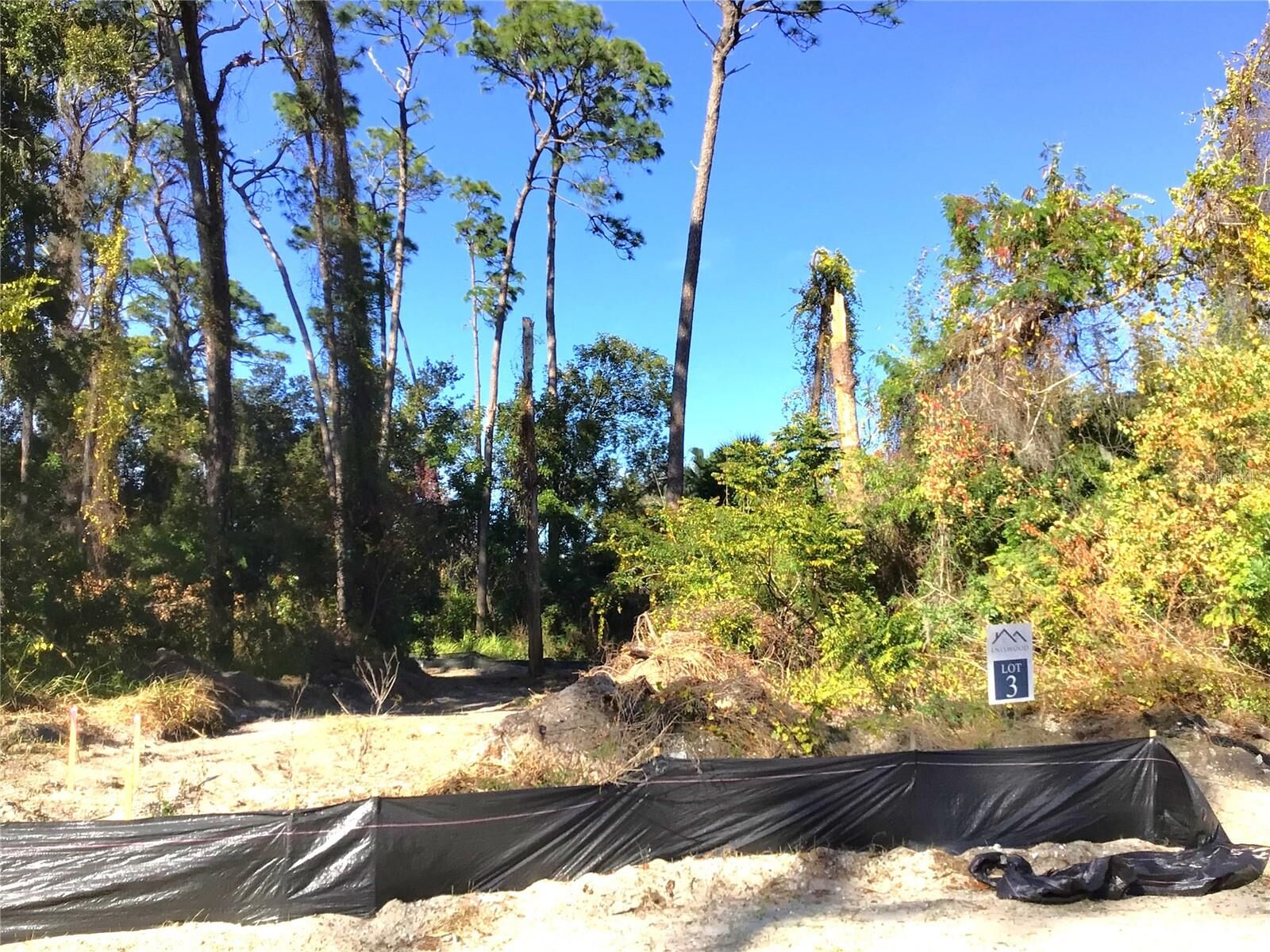 Property Photo:  1299 Almaria Court  FL 34683 