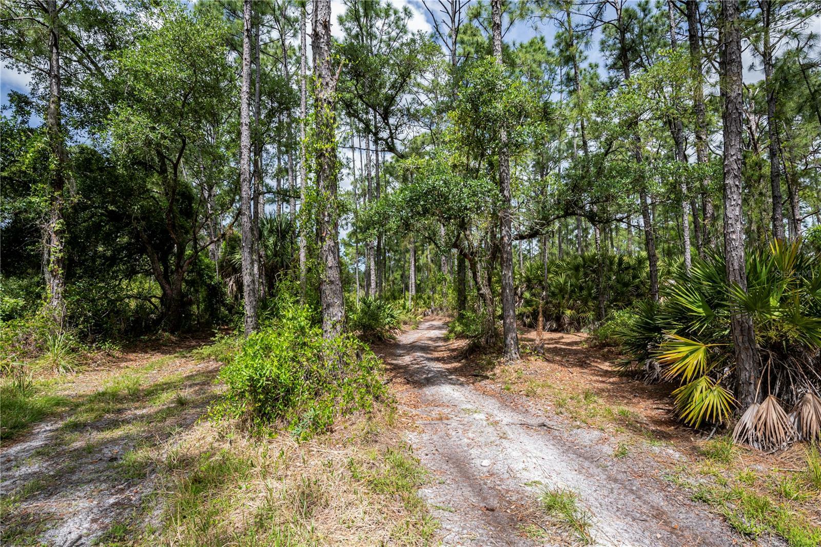 Property Photo:  Salford Boulevard  FL 34286 