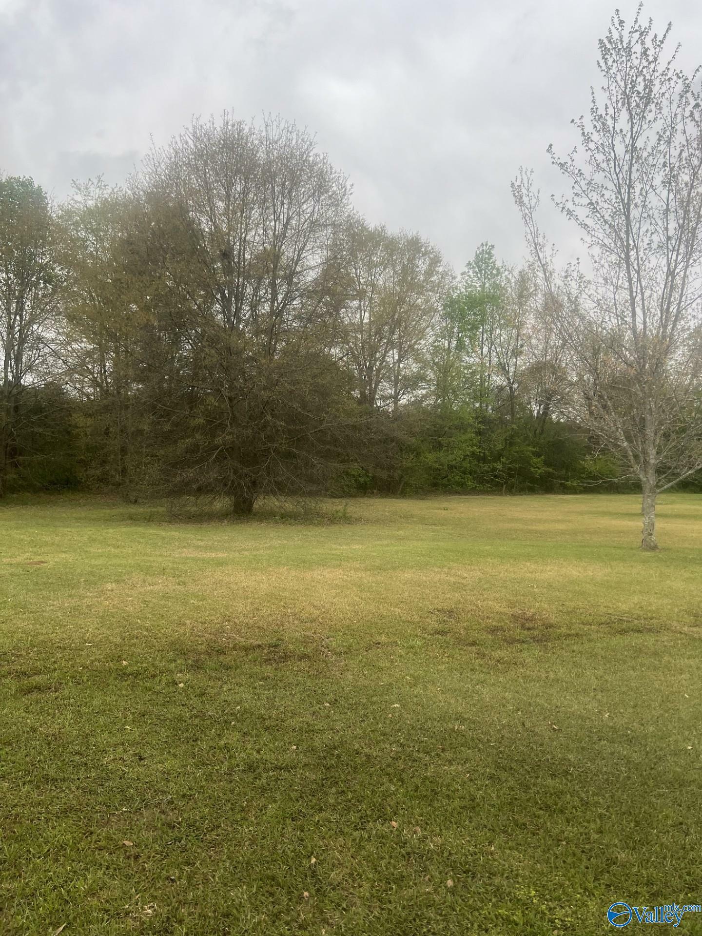 Property Photo:  Lot 9 Jennifer Lane  AL 35957 