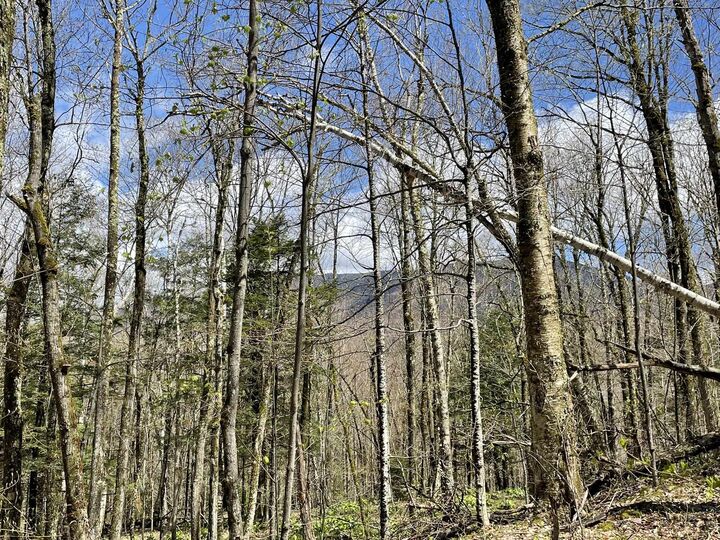 Property Photo:  Lot 120 Beartown Road  VT 05489 