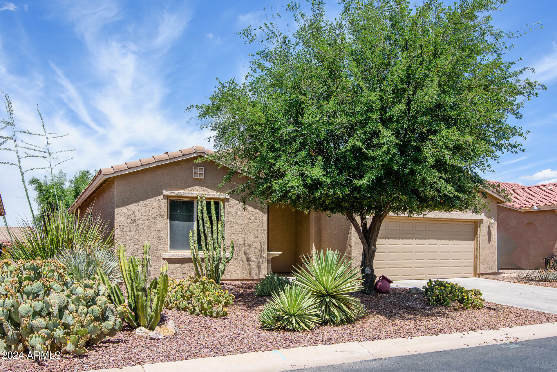 Property Photo:  42906 W Darter Drive  AZ 85138 