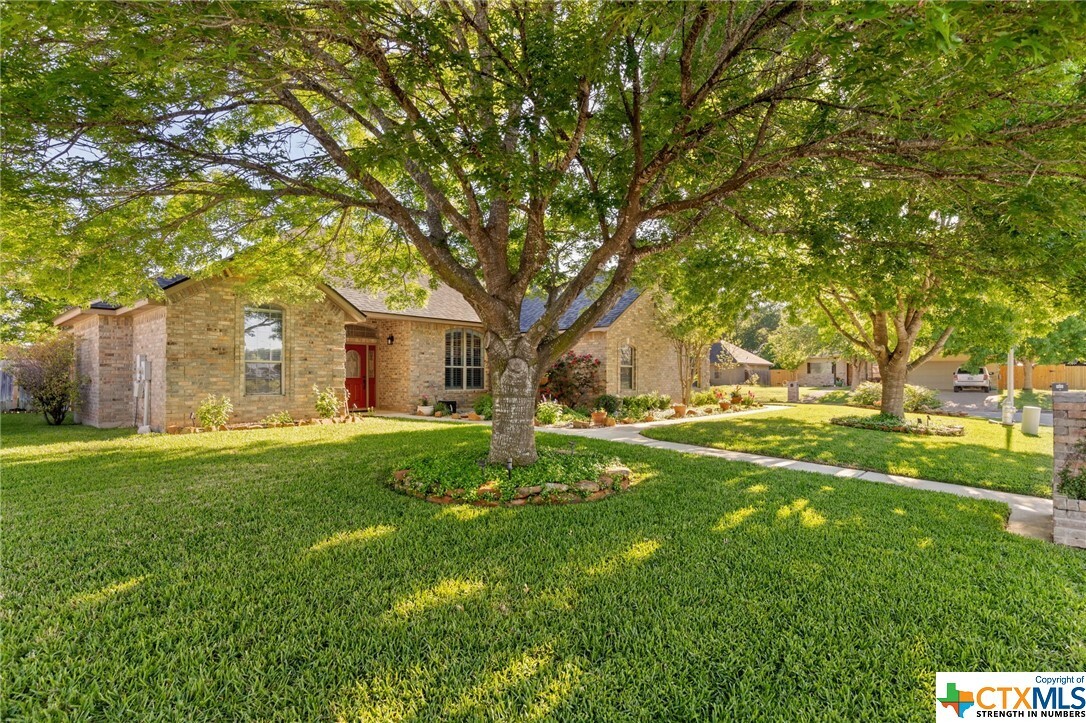Property Photo: 804 Arvin Street TX 78155