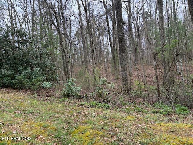 Property Photo:  Lot 14 Flats Rd  TN 37878 