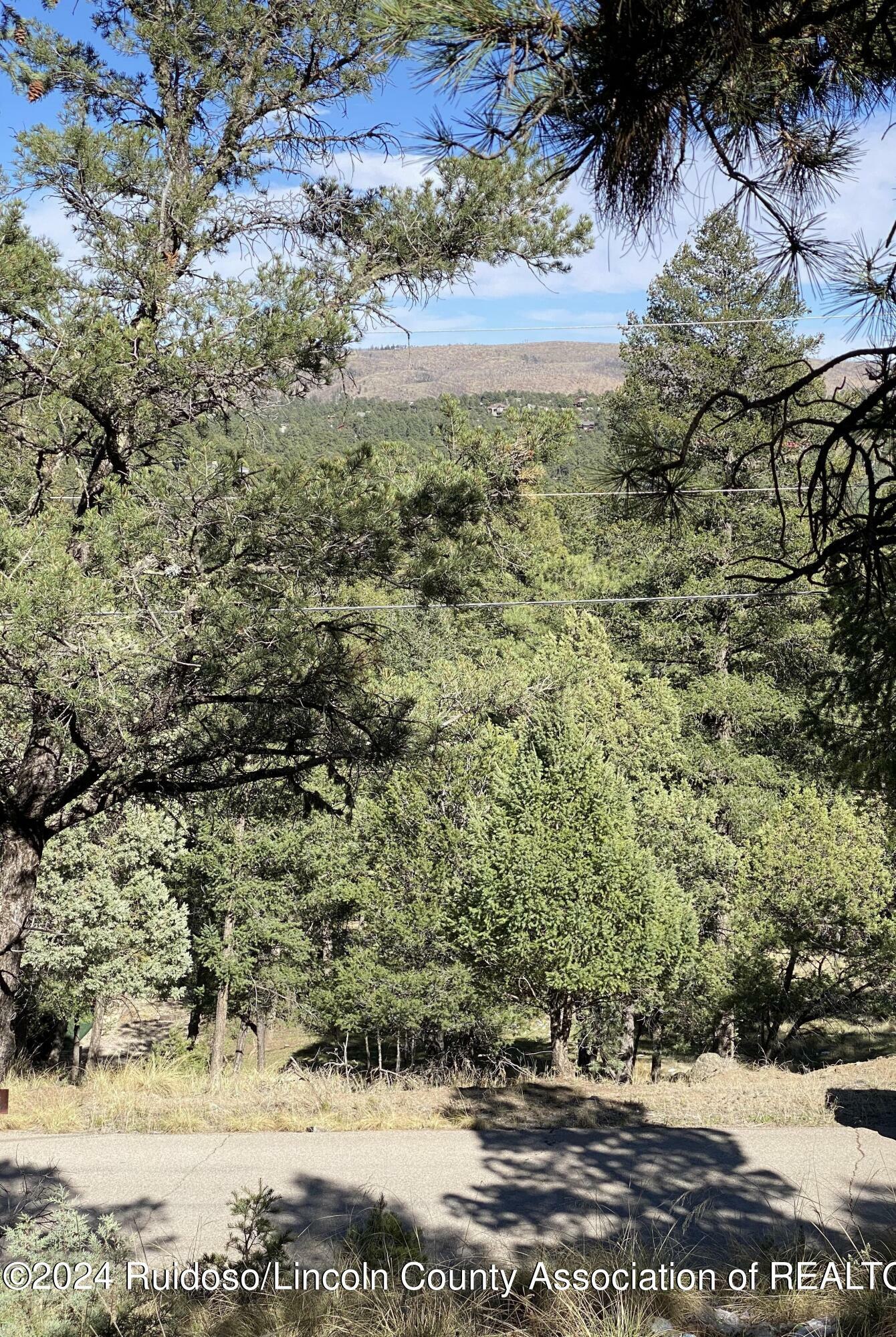 Property Photo:  0 Tonto Drive  NM 88345 