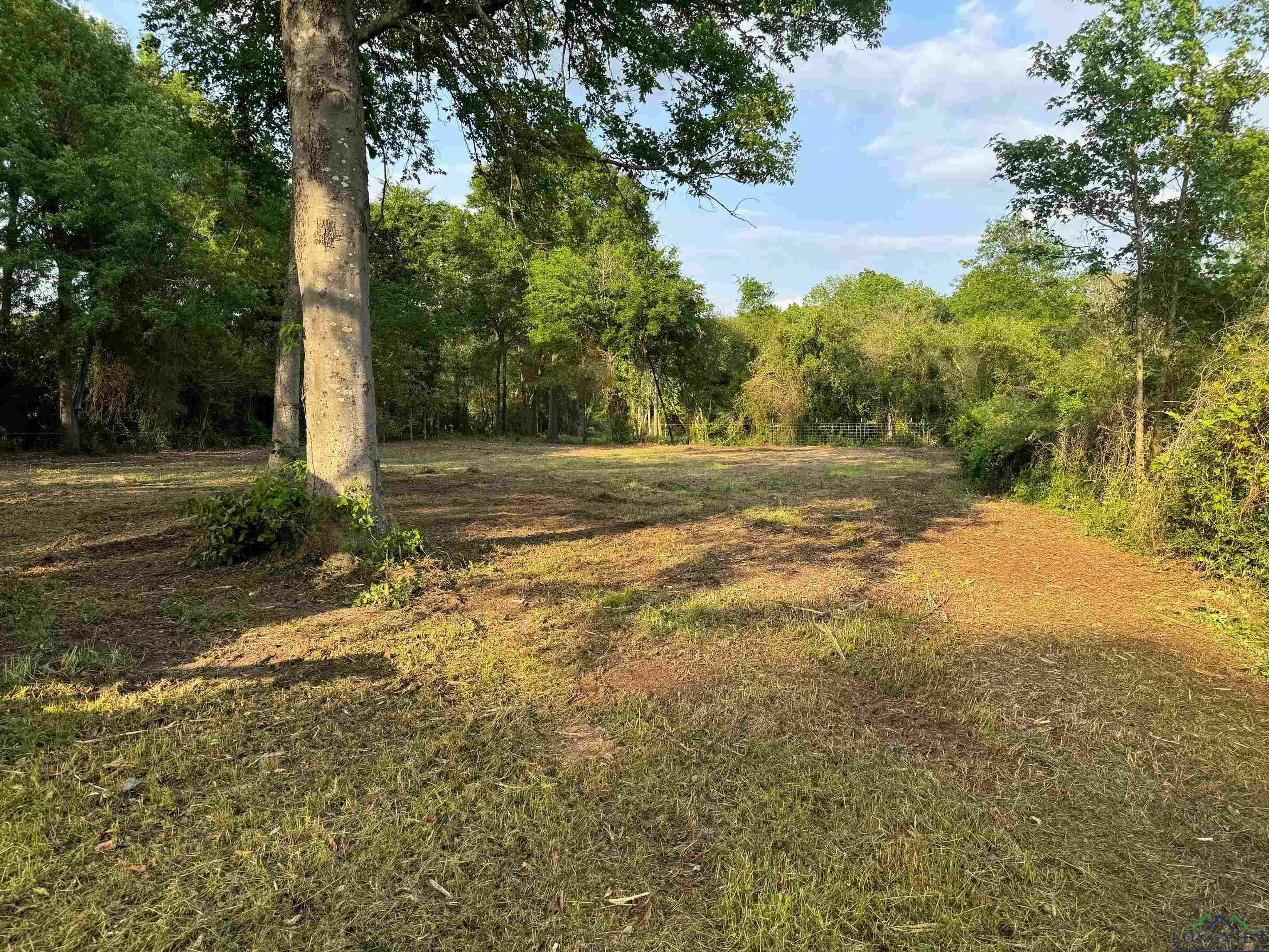 Property Photo:  219 Bounds  TX 75633 