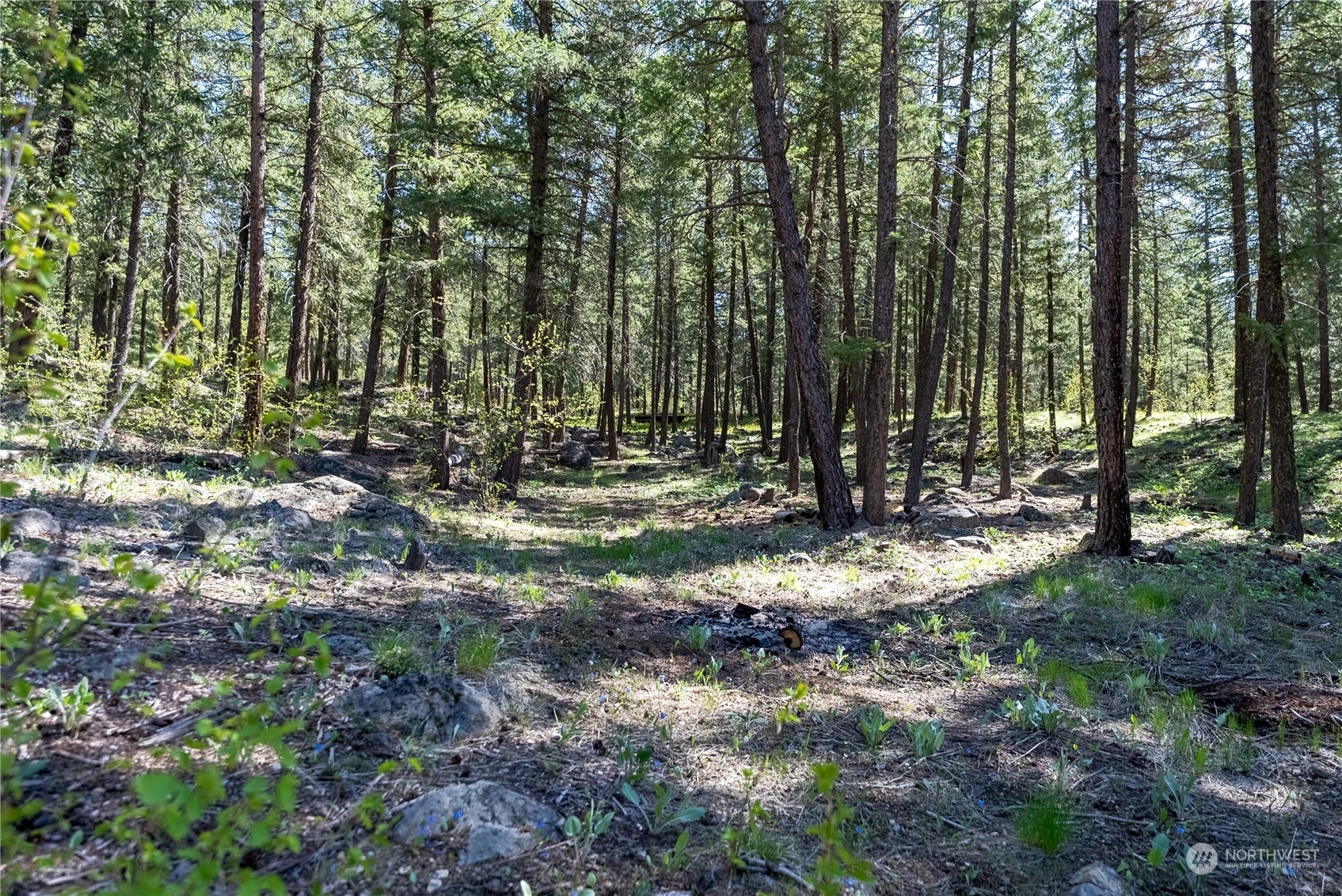 Property Photo:  10 West Fawn Creek Road  WA 98862 