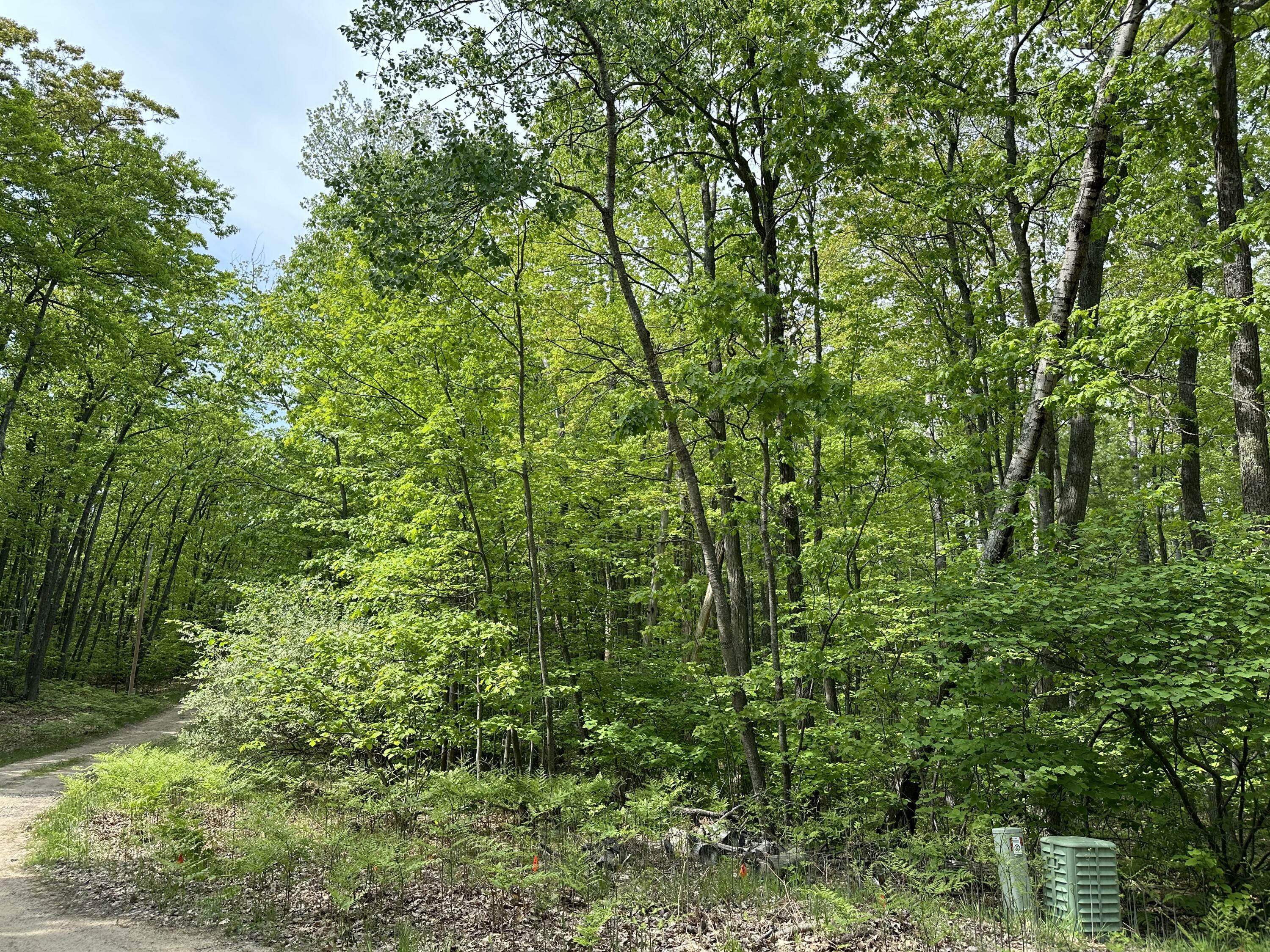 Property Photo:  Scout Drive Lots 495 & 496  MI 48653 