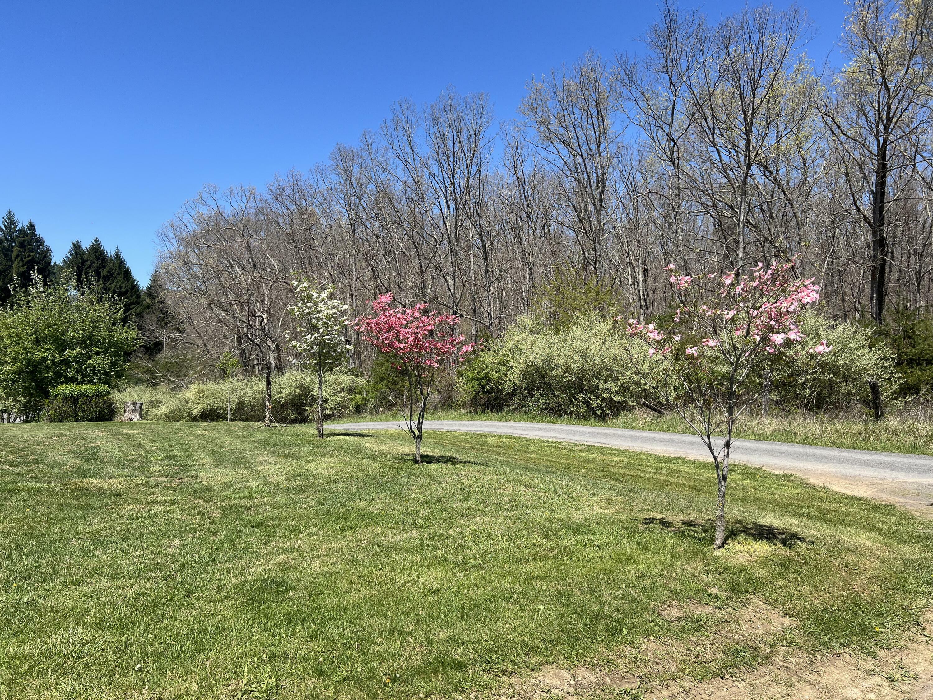 Property Photo:  2292 Bert Williams Road  WV 24984 