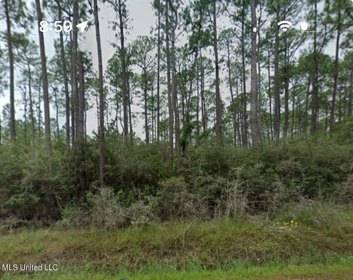 Property Photo:  Orange Grove Road  MS 39562 