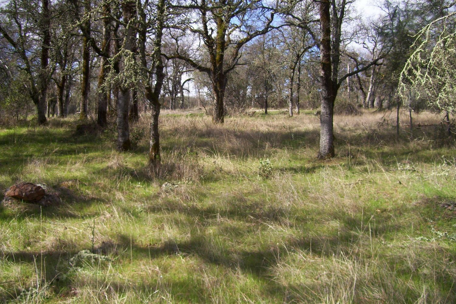 Property Photo:  0 Pleasant Valley Road  CA 95946 