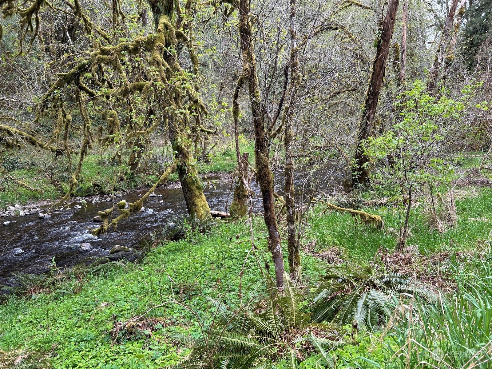 Property Photo:  0 Lot 2 Abernathy Creek Rd  WA 98632 