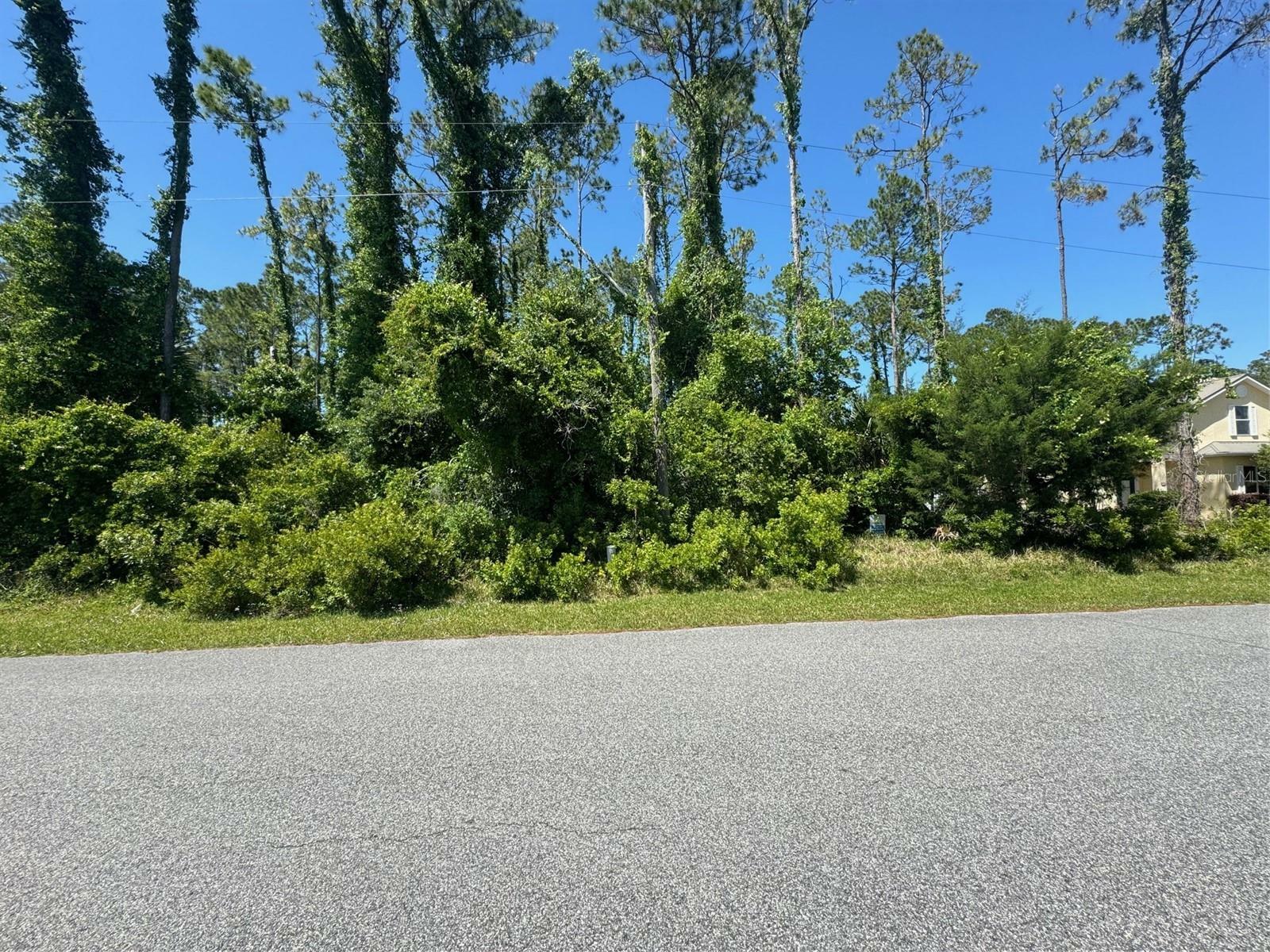 Property Photo: 62 Emerson Drive FL 32164
