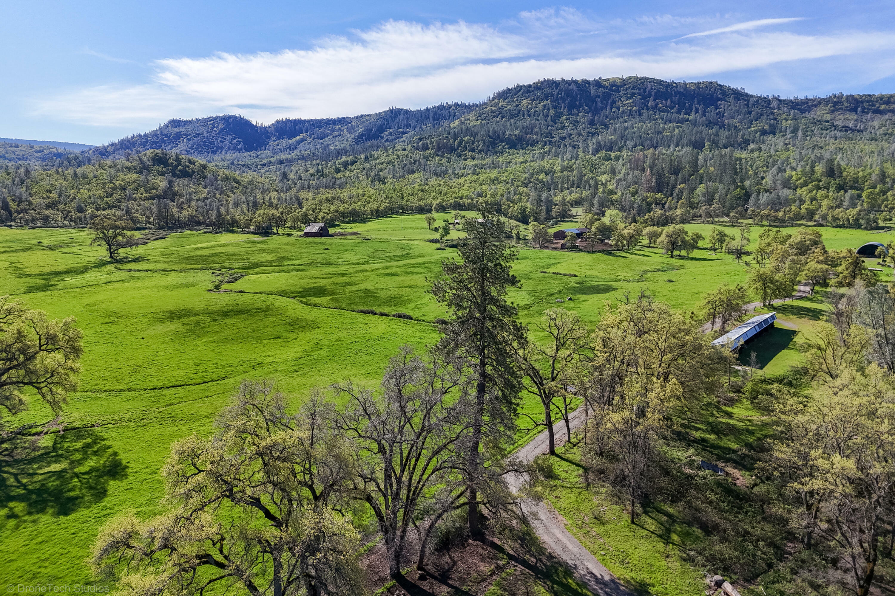 Property Photo:  9568 Blue Mountain Ranch Road  CA 96096 