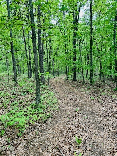 Property Photo:  Tract A Madison Cr 5450  AR 72727 