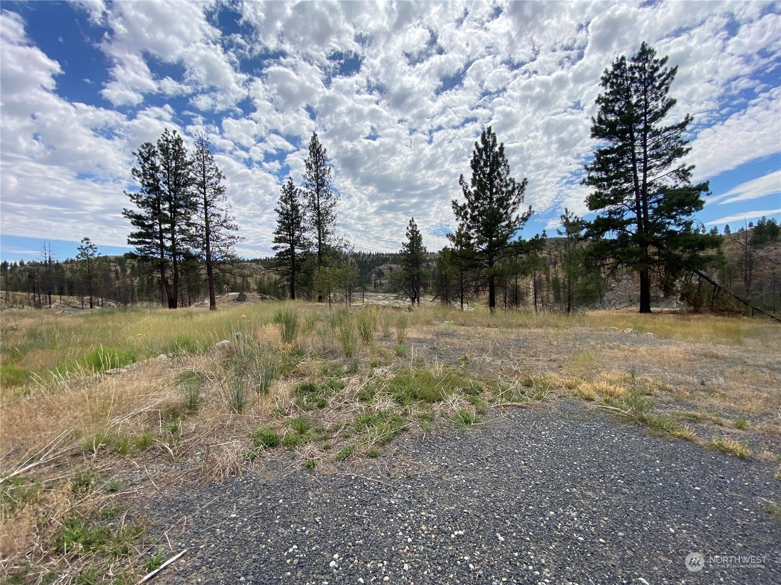 Property Photo:  6 Madd Mountain Road  WA 98840 