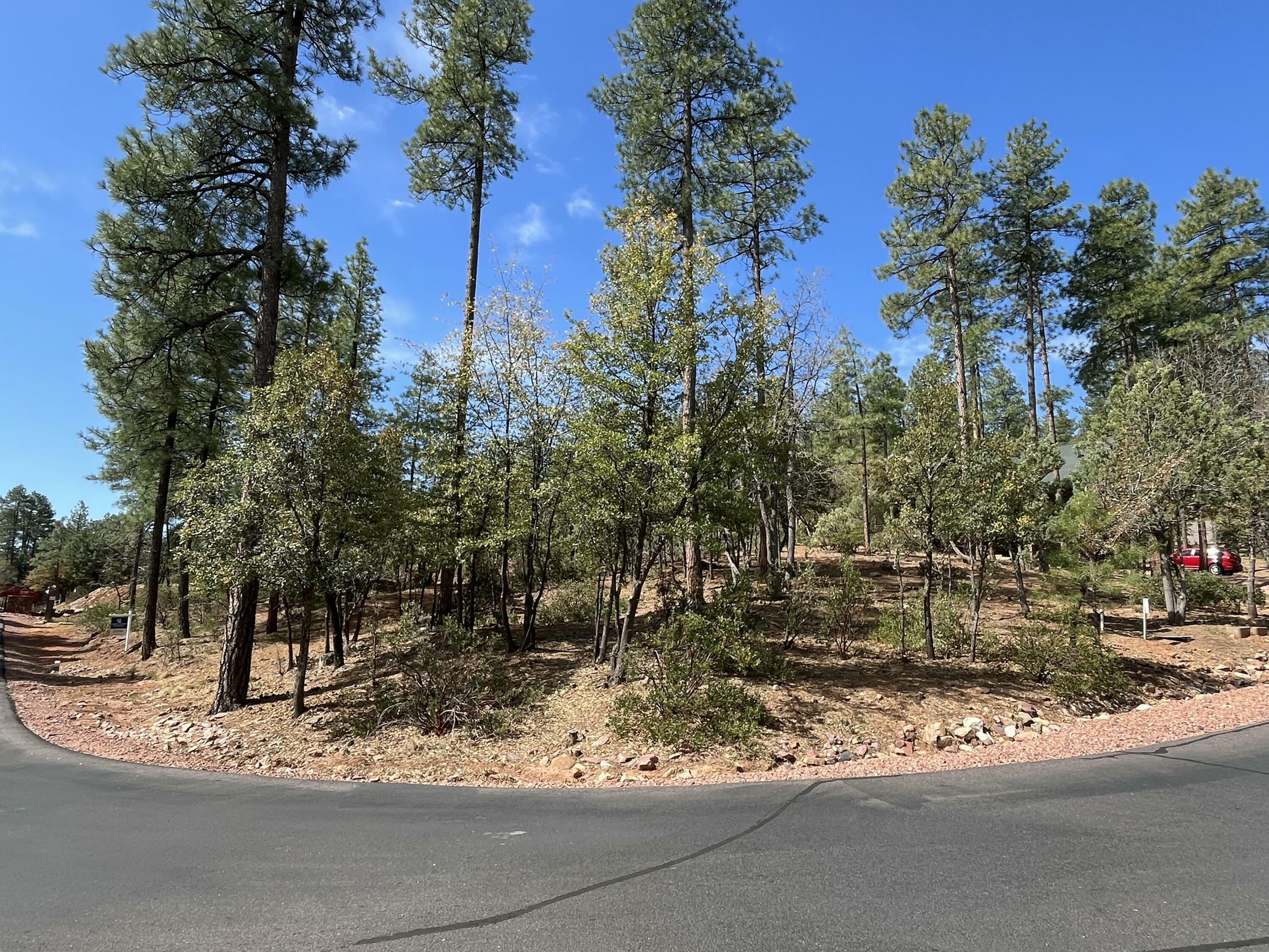 Property Photo: Lot 19 Strawberry Hollow AZ 85544