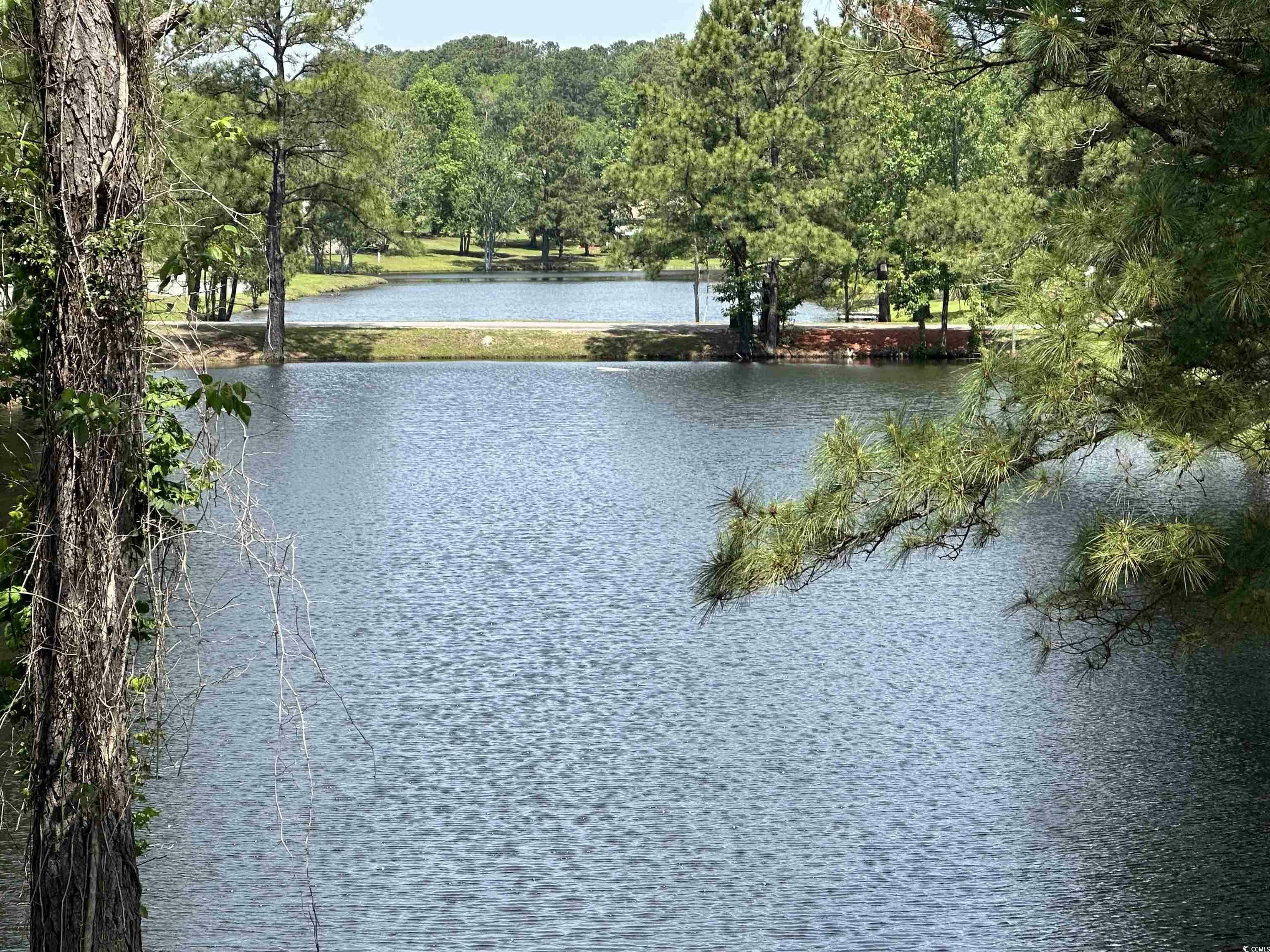 Property Photo:  4090 Lake Shore Dr.  SC 29566 