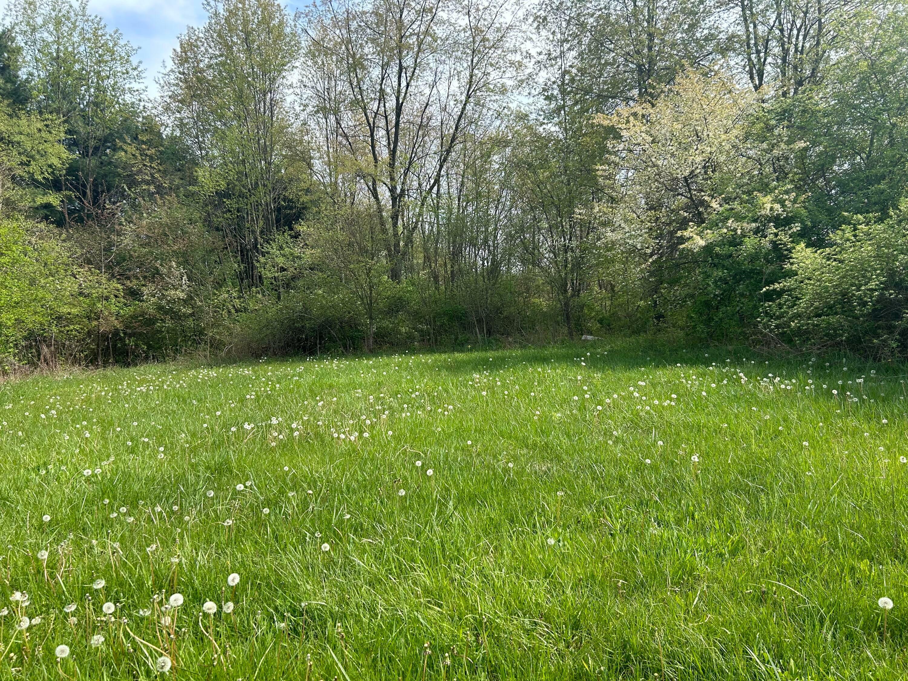 Property Photo:  12380 Camp Ohio Road  OH 43071 