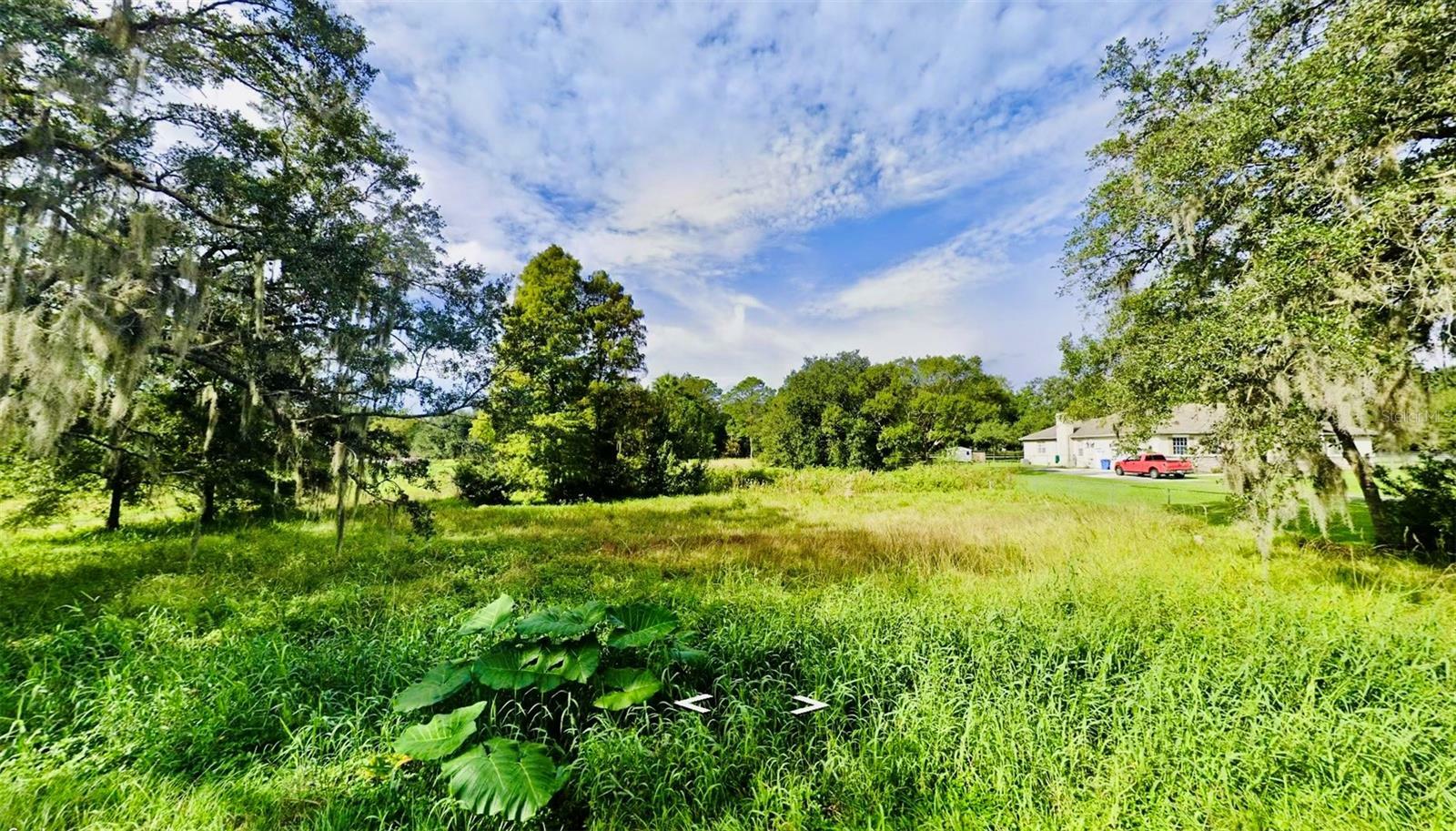 Property Photo: 4315 Edwards Road FL 33567
