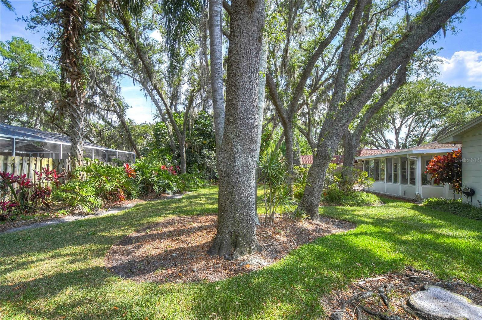 Property Photo:  10503 Sago Road  FL 33618 