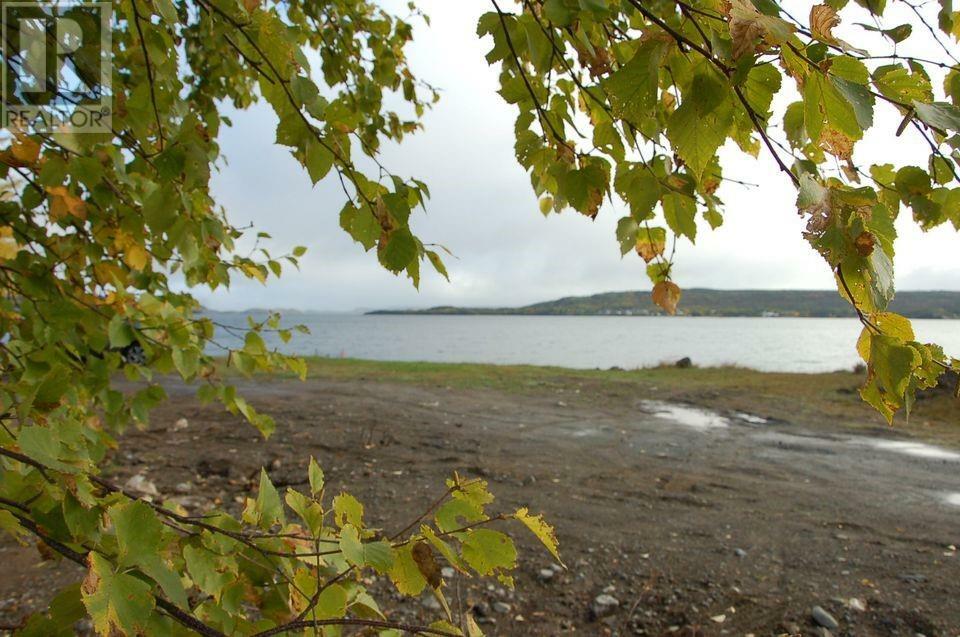 Property Photo:  323 Main Street  NL A0G 3A0 