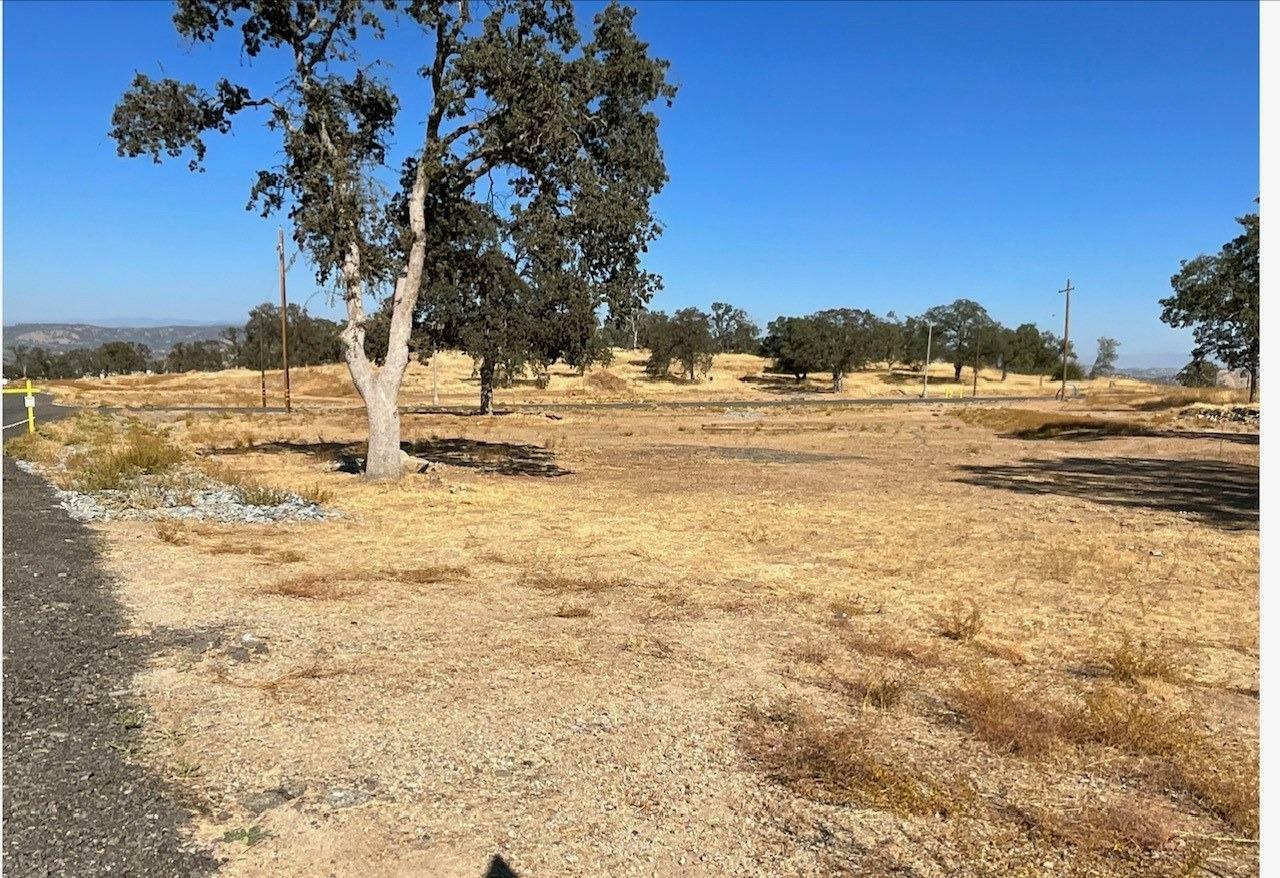 Property Photo:  3 1.28 Ac Wisteria Way  CA 93645 