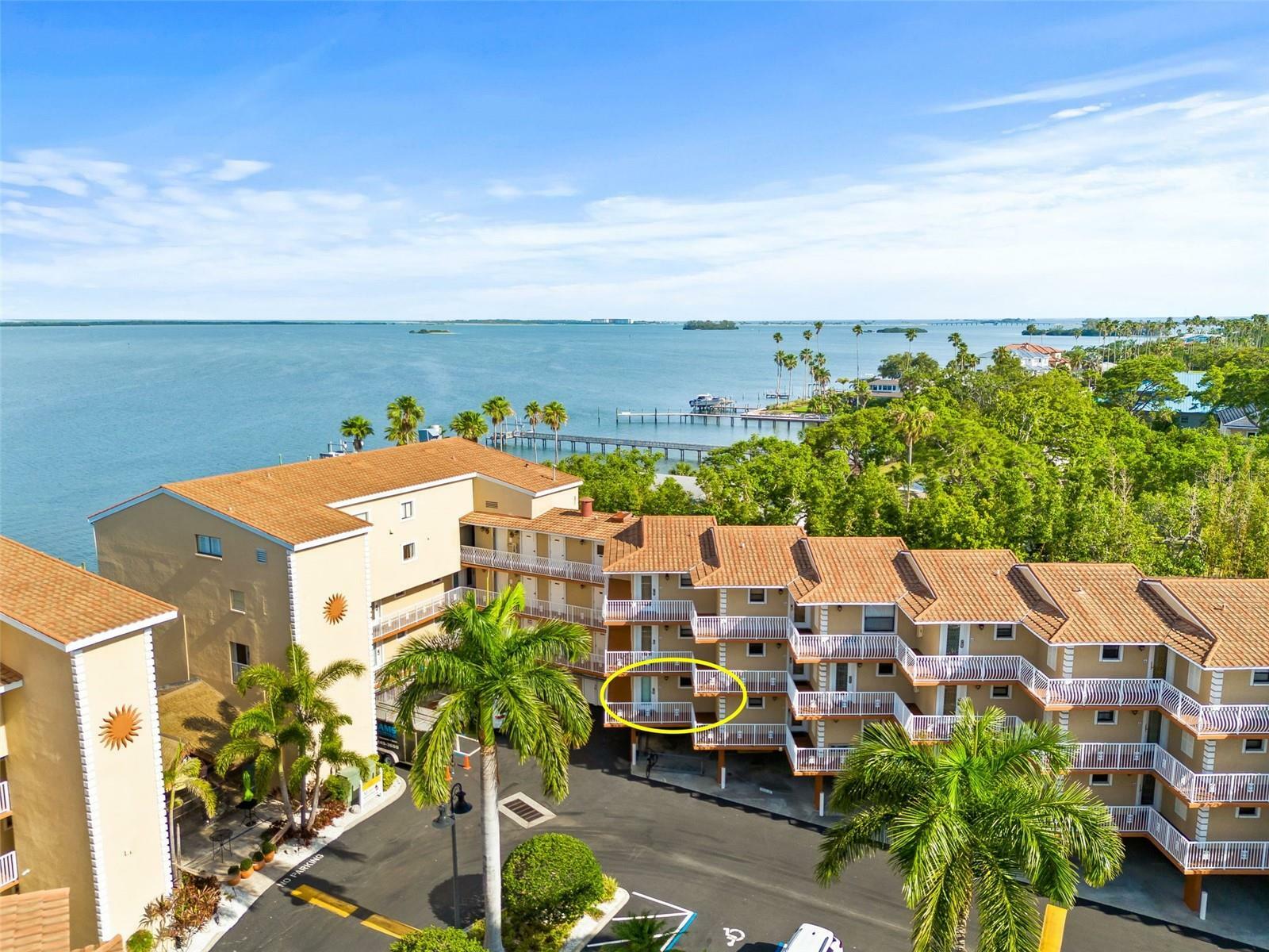 Property Photo:  1420 Bayshore Boulevard 206  FL 34698 